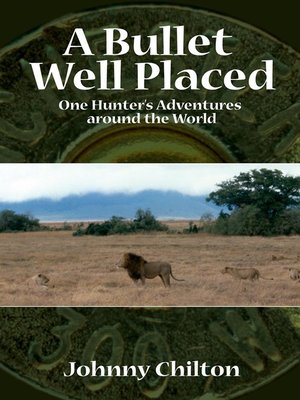 cover image of A Bullet Well Placed